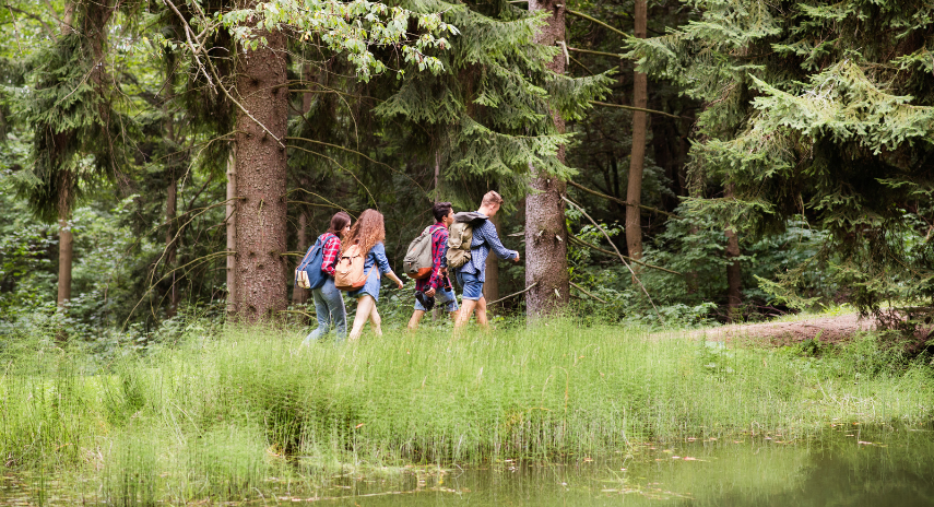 Grupa nastolatków na szlaku w lesie