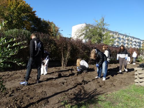 Zdjęcie przedstawiające grupę młodzieży wykonującą prace ogrodnicze, w tle blok, błękitne niebo