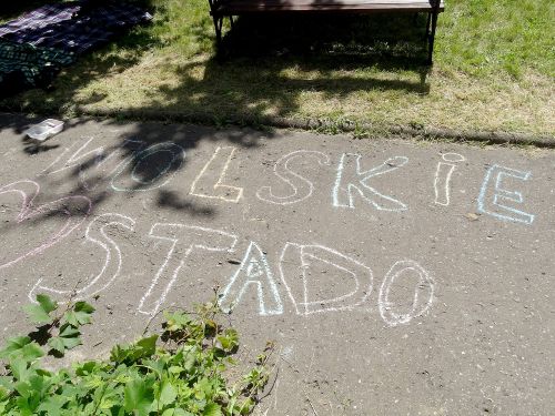 Napis "Wolskie stado" narysowany kolorową kredą na chodniku