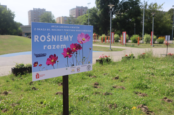 Tablica z napisem "Rośniemy razem" wbita w ziemię na łące kwietnej w VIII Ogrodzie Jordanowskim