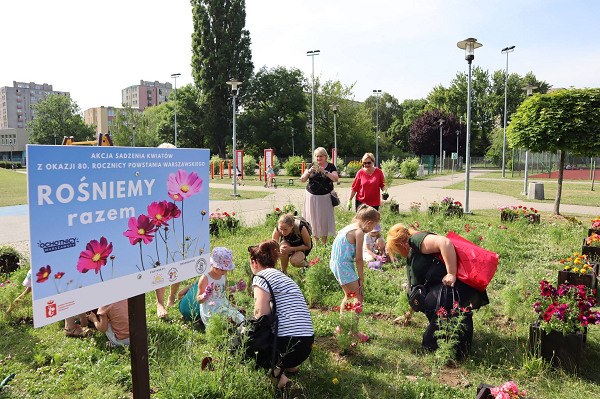 Dzieci  wraz z rodzicami i opiekunami wspólnie sadzą kwiaty na łące kwietnej