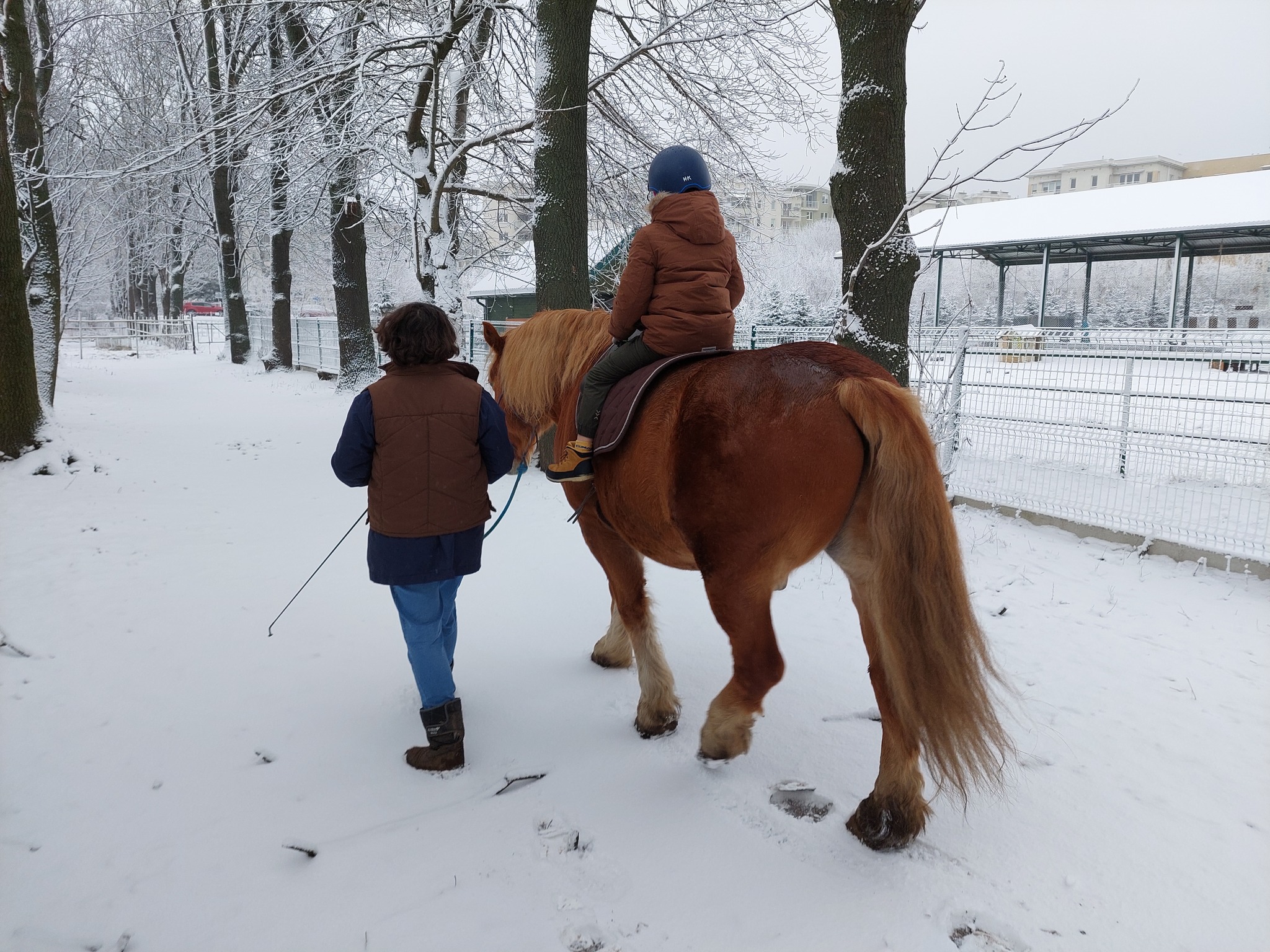 Dziecko siedzące na brązowym koniu, obok którego idzie kobieta. Wszystko dzieje się na ośnieżonej ścieżce.