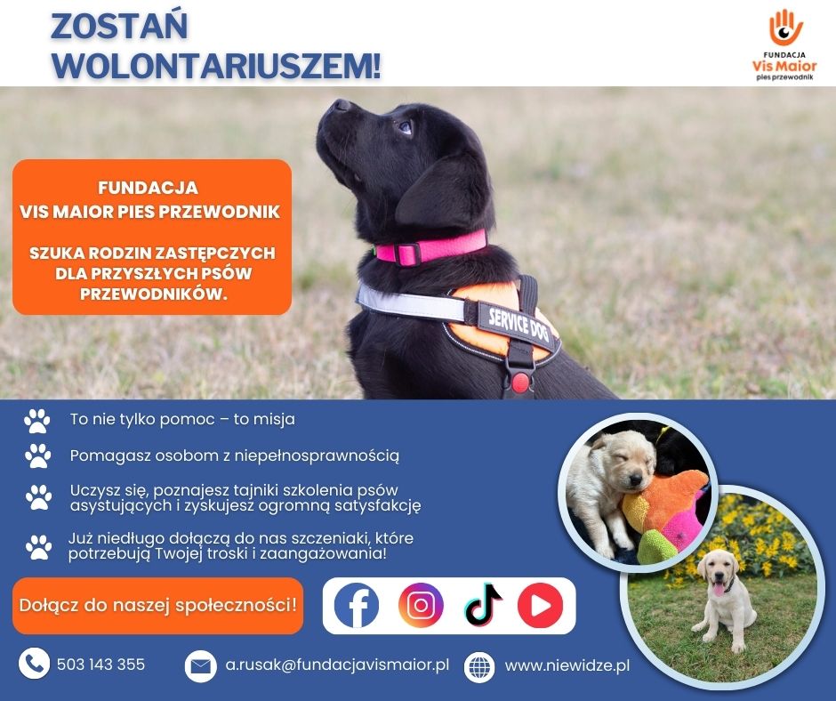 Zostań rodziną zastępczą dla przyszłego PSA ASYSTUJĄCEGO