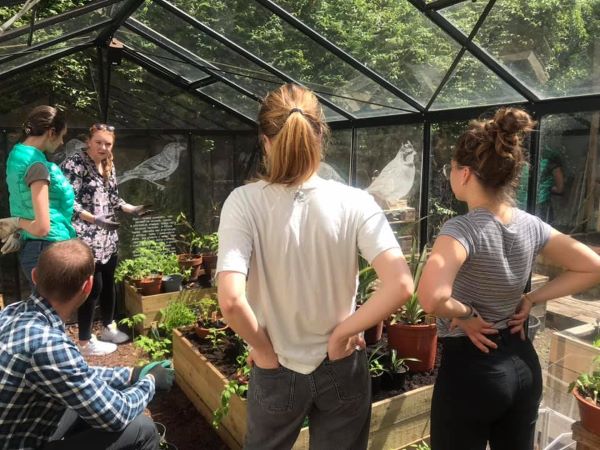 Zdjęcie wolontariuszy dyskutujących w szklarni na terenie ogrodu społecznego