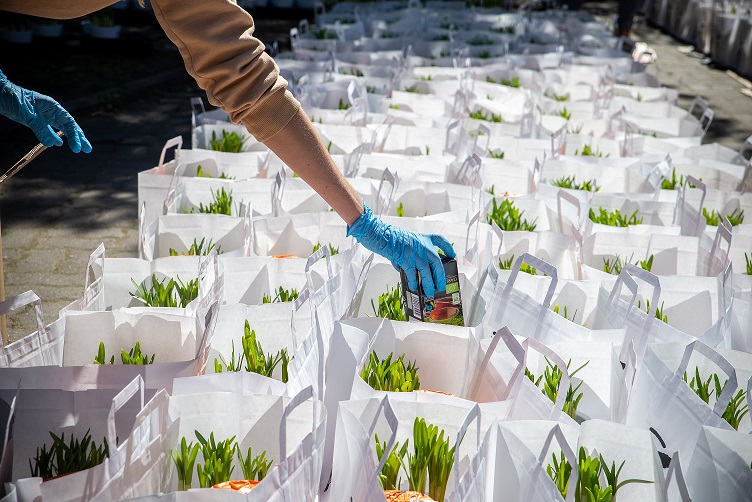 MicrosoftTeams image