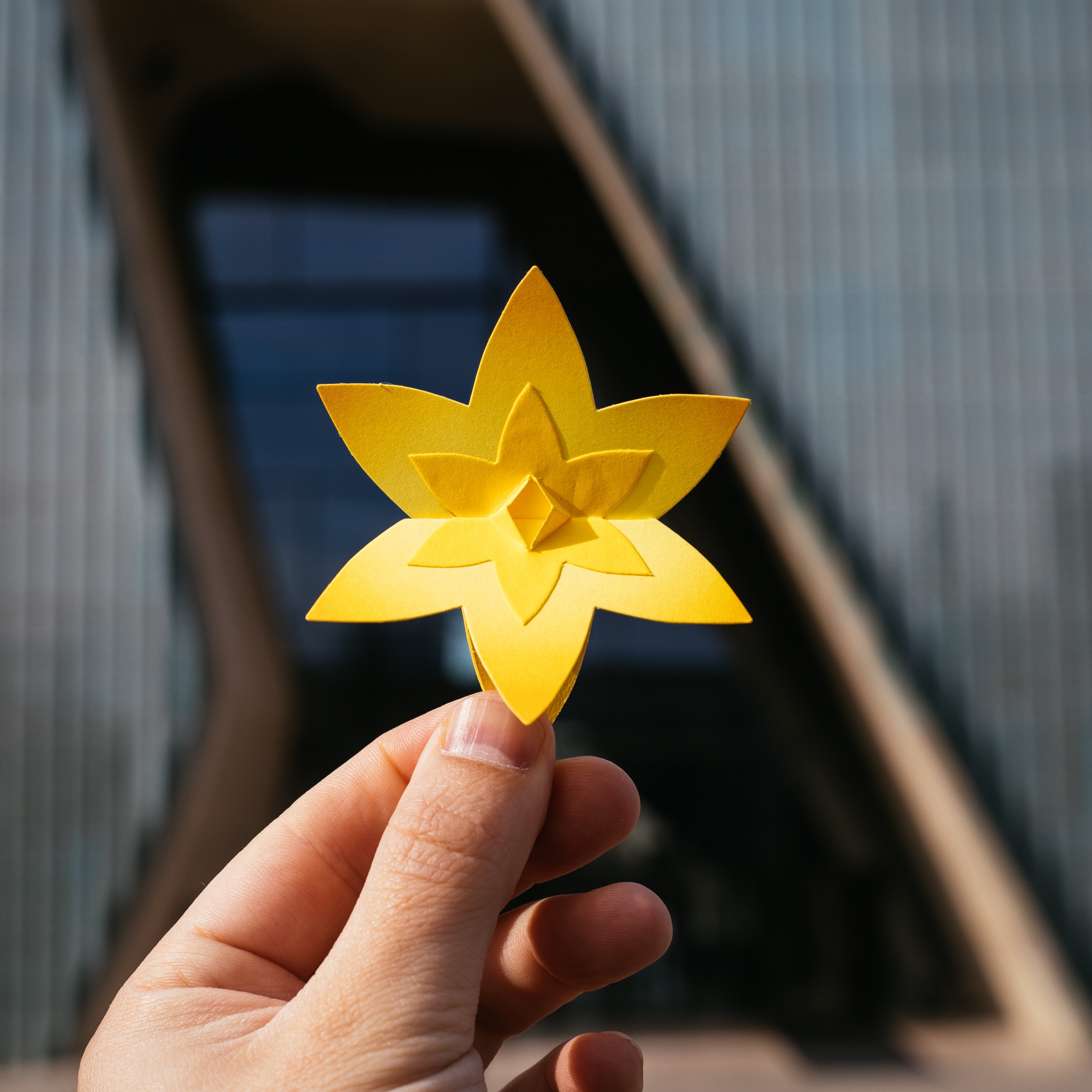 Dłoń trzymająca żółty, papierowy żonkil. W tle Muzeum POLIN.