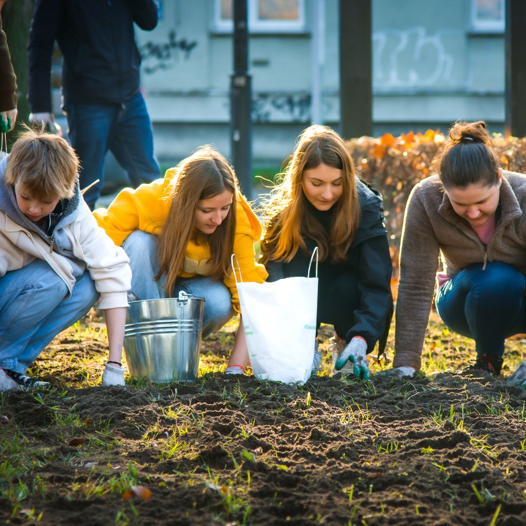 Cztery wolontariuszki kucają i zasypują cebulki roślin w ziemi. Przed nimi metalowe wiadro i torba.