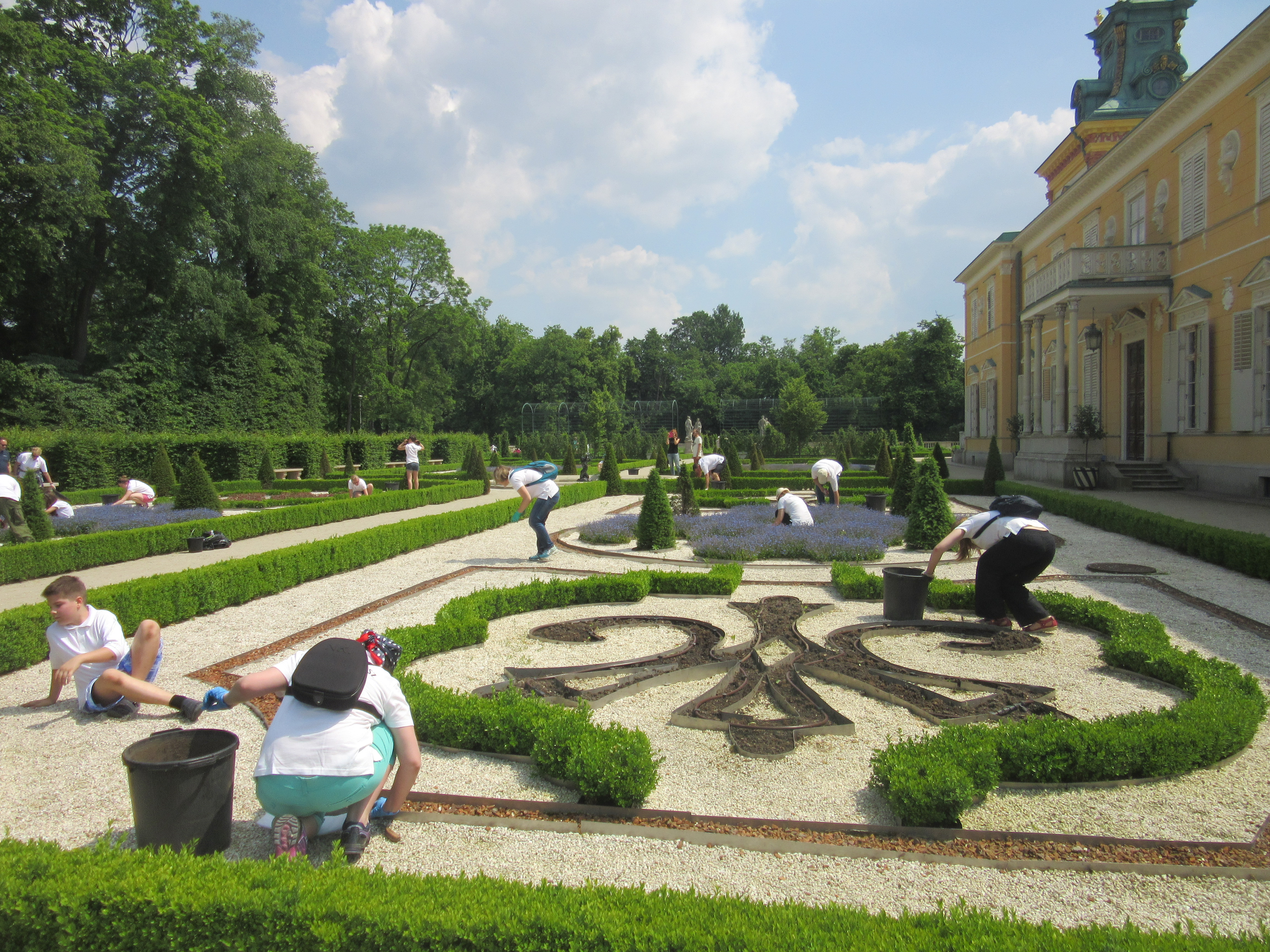 wolontariusze pielący ogród w Muzeum Pałacu Króla Jana III w Wilanowie