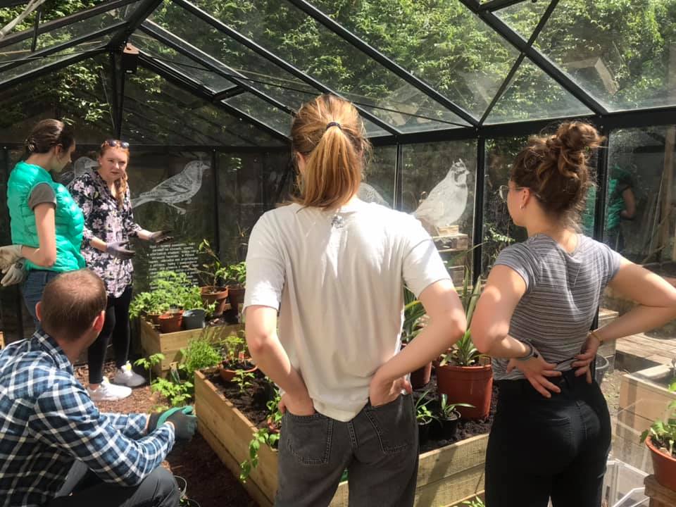 Wolontariusze w ogrodzie społecznym