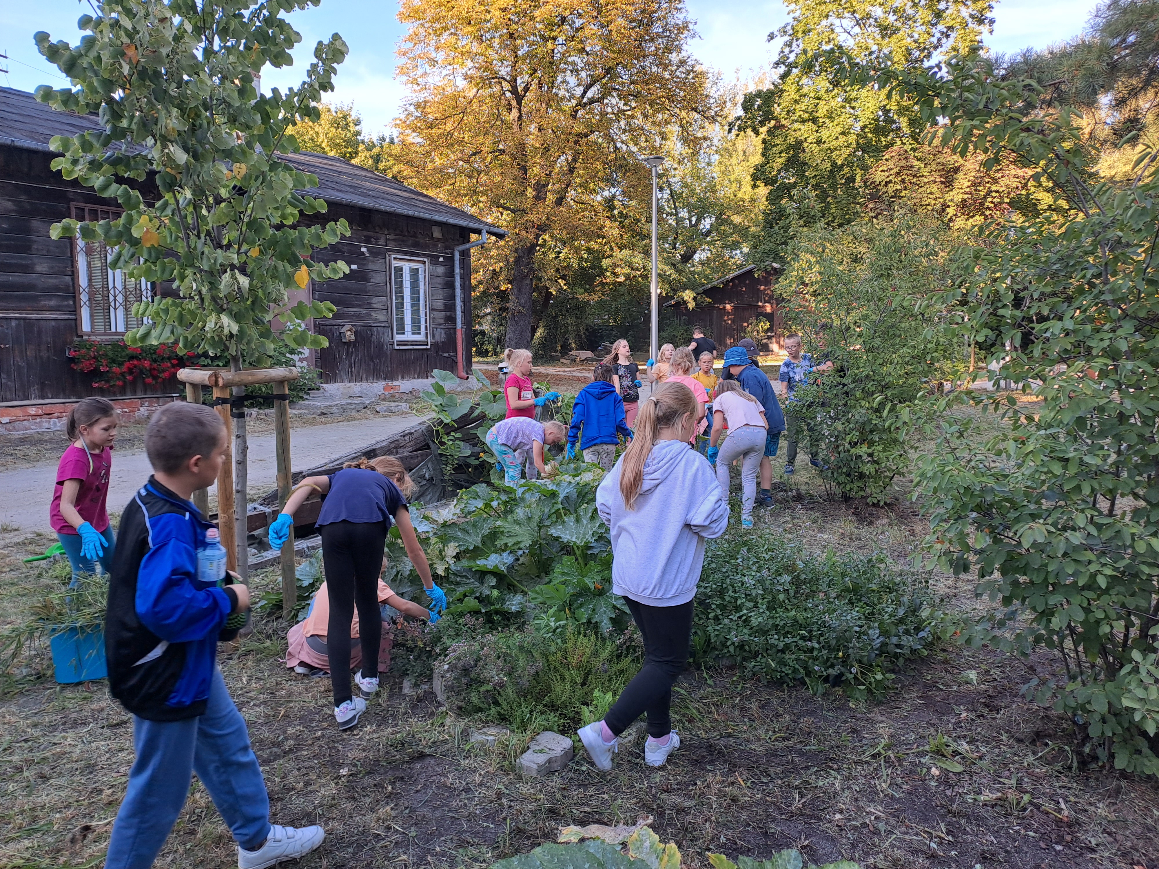 tworzenie ogrodu społecznego przez wolontariuszy Centrum Kultury i Aktywności Targówek