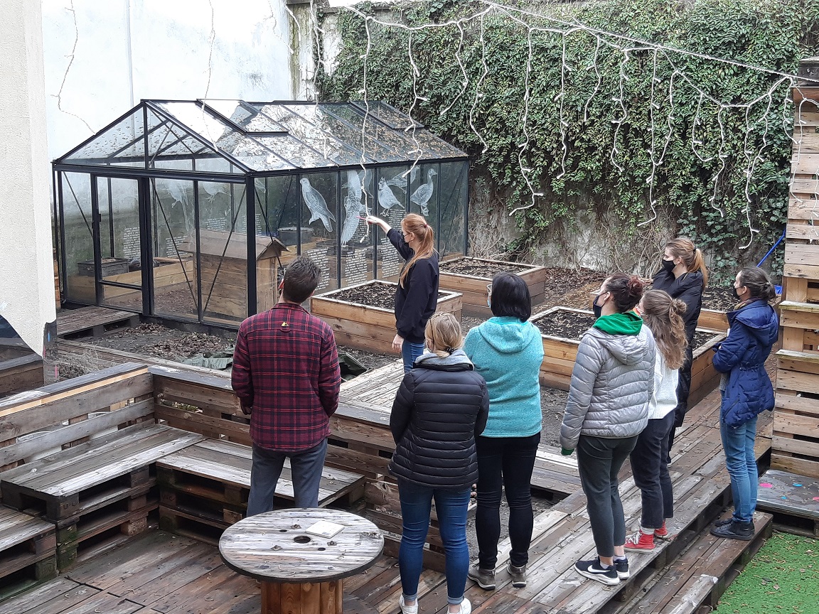 Wolontariusze w ogrodzie społecznym