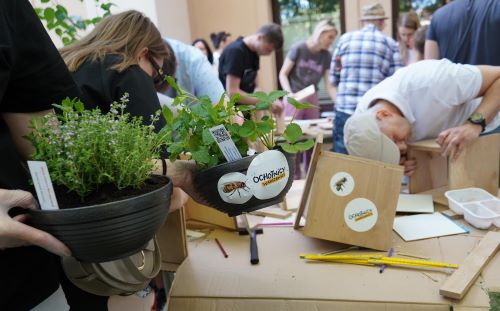 Zdjęcie z warsztatów majsterkowania, gdzie wykonywano domki dla zapylaczy