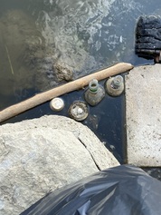 IMG_2416.jpeg