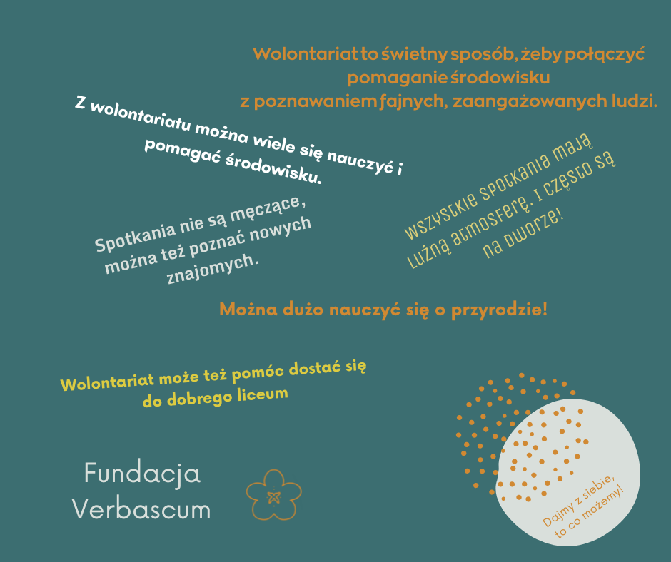 Opinie wolon...olontariacie.png