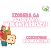 Szukamy wolontariusza z ul. Szobera 6A