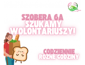 Szukamy wolontariusza z ul. Szobera 6A